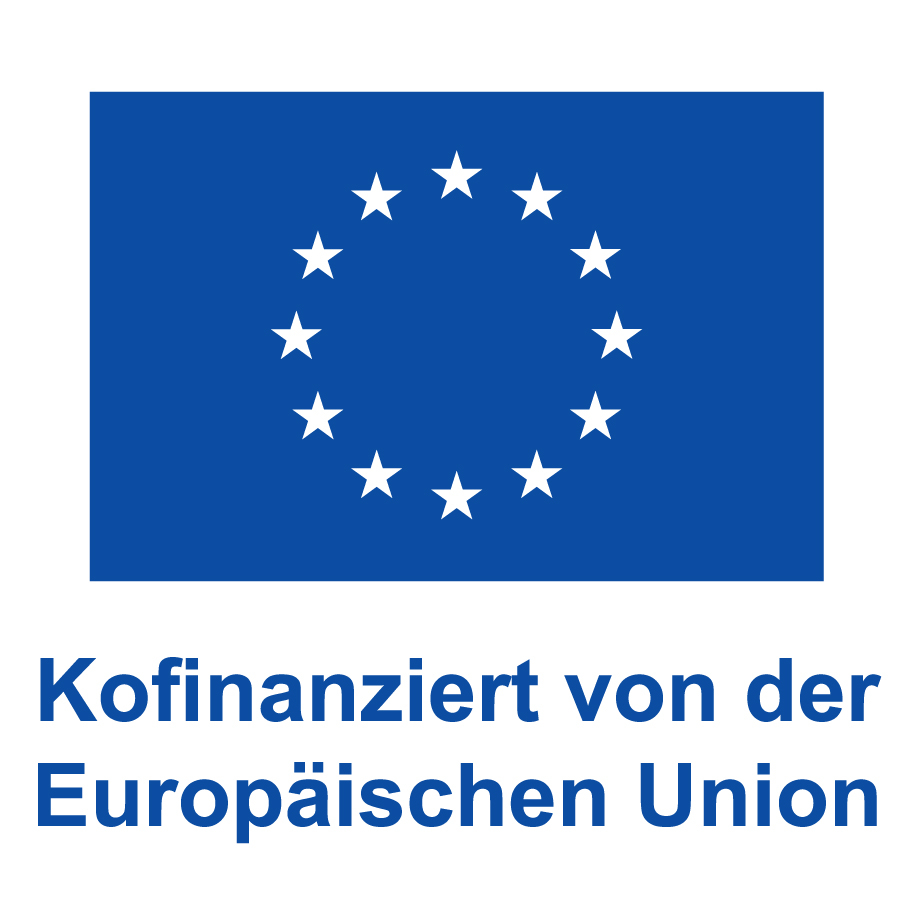 DE V Kofinanziert Von Der Europaeischen Union Web Blau